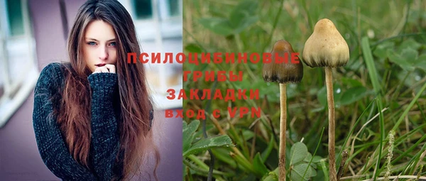 прущая мука Володарск