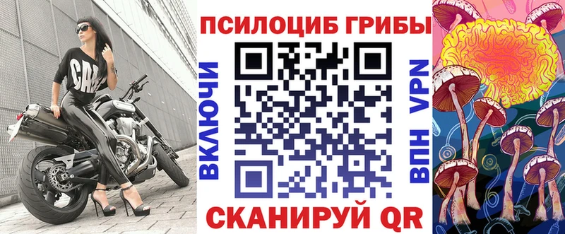 Псилоцибиновые грибы Psilocybine cubensis  Купить где  Куйбышев 